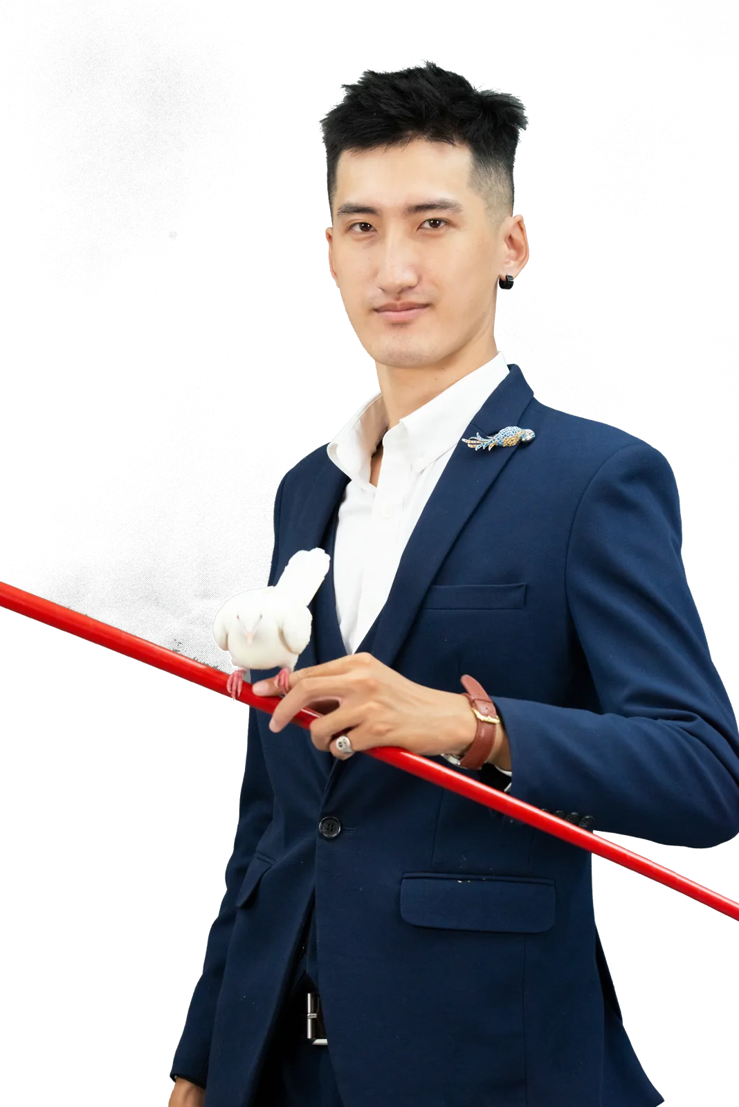 Ảo thuật gia với đũa phép và chim bồ câu